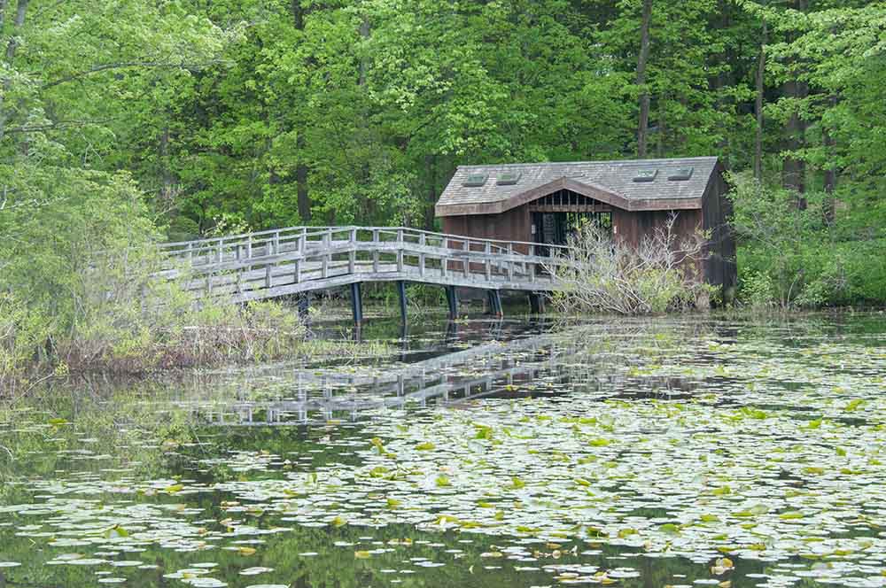 Elevated boardwalks across the lake lead to Wildflower Island, where the one-hour guided tour takes place. (Teatown Lake Reservation)