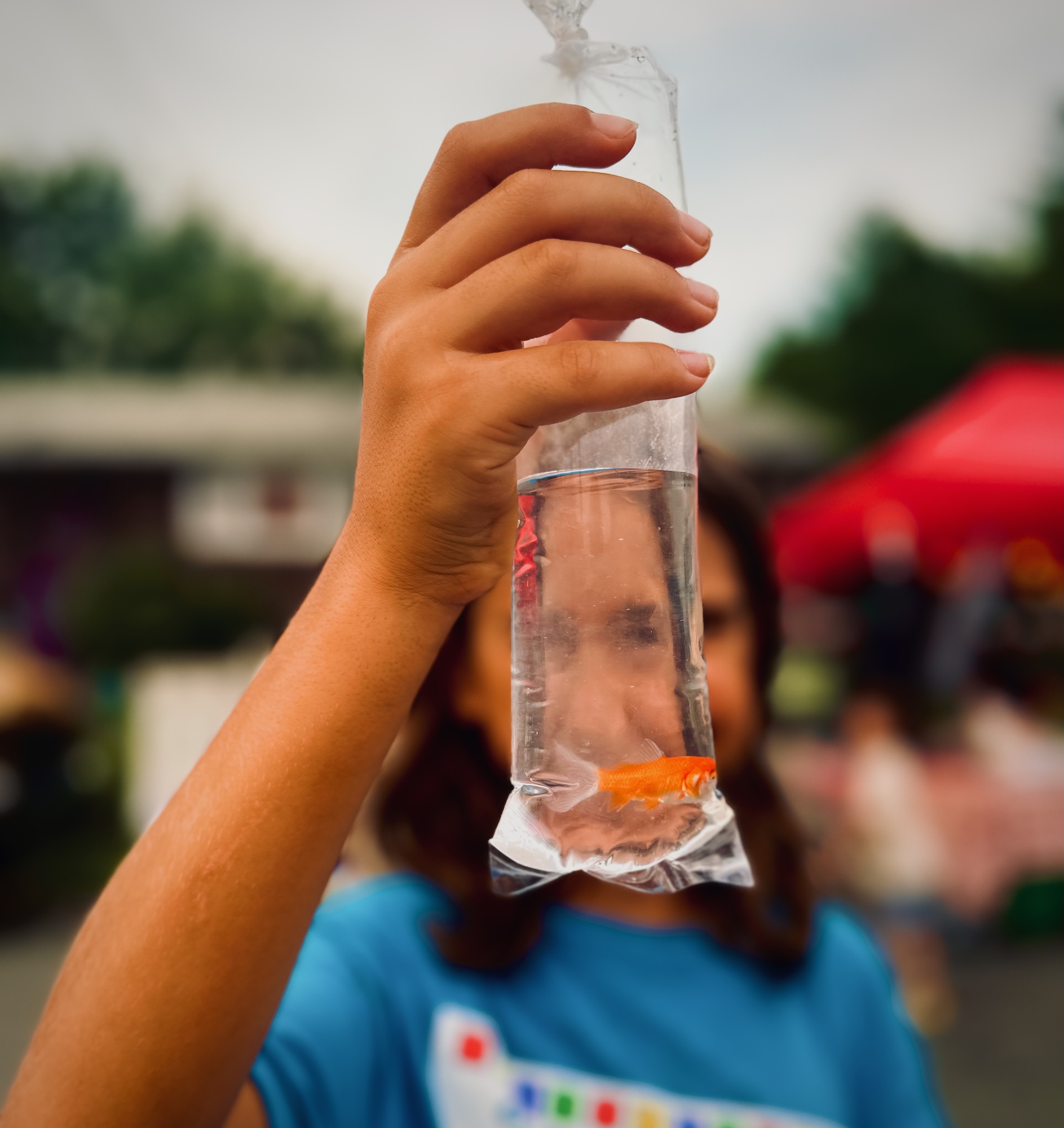 Celebrating summer magic at the oldest Italian festival in the Hudson Valley