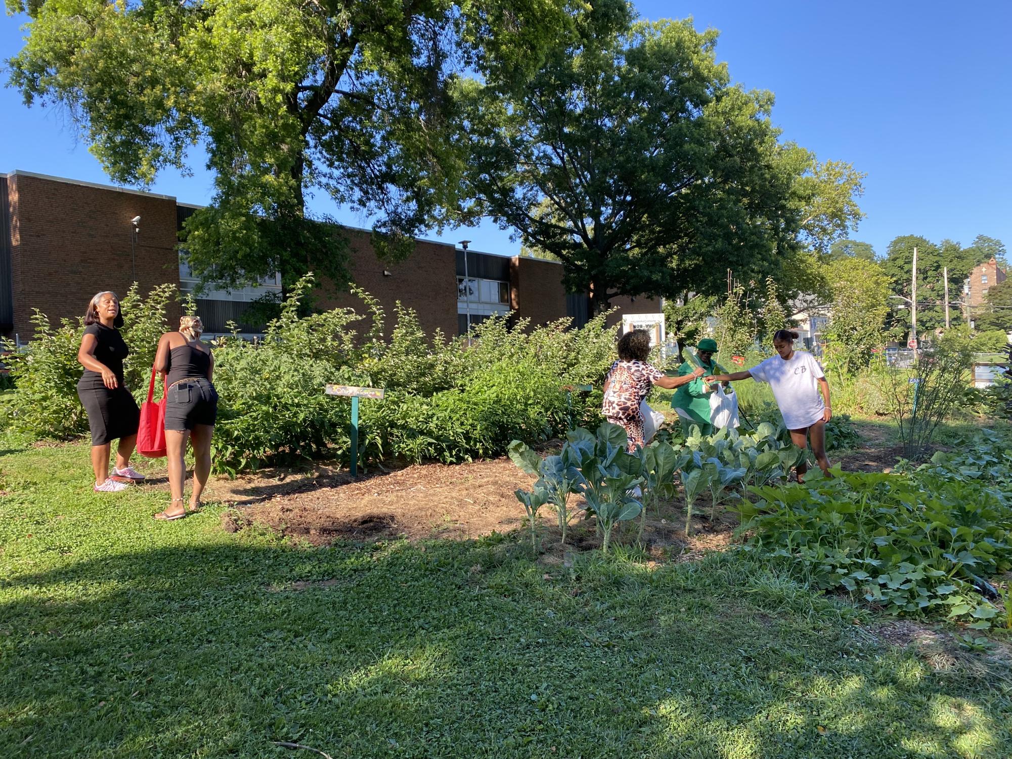 Community members welcome harvest season with hearty meal and entertainment