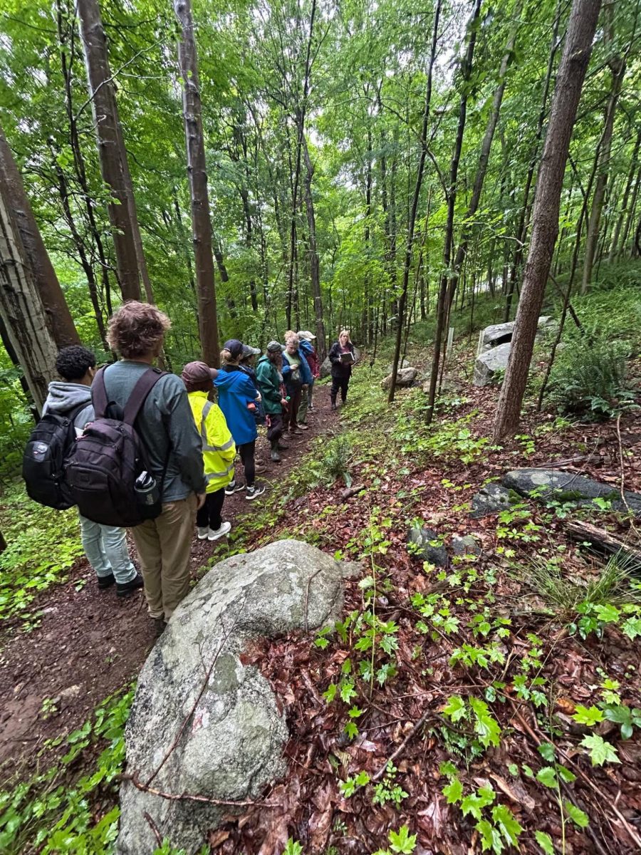 The forest therapy workshop at Lane Gate Preserve will provide a sensory experience through slow walks and mindful exercises to promote connection with nature. (Hudson Highlands Land Trust)