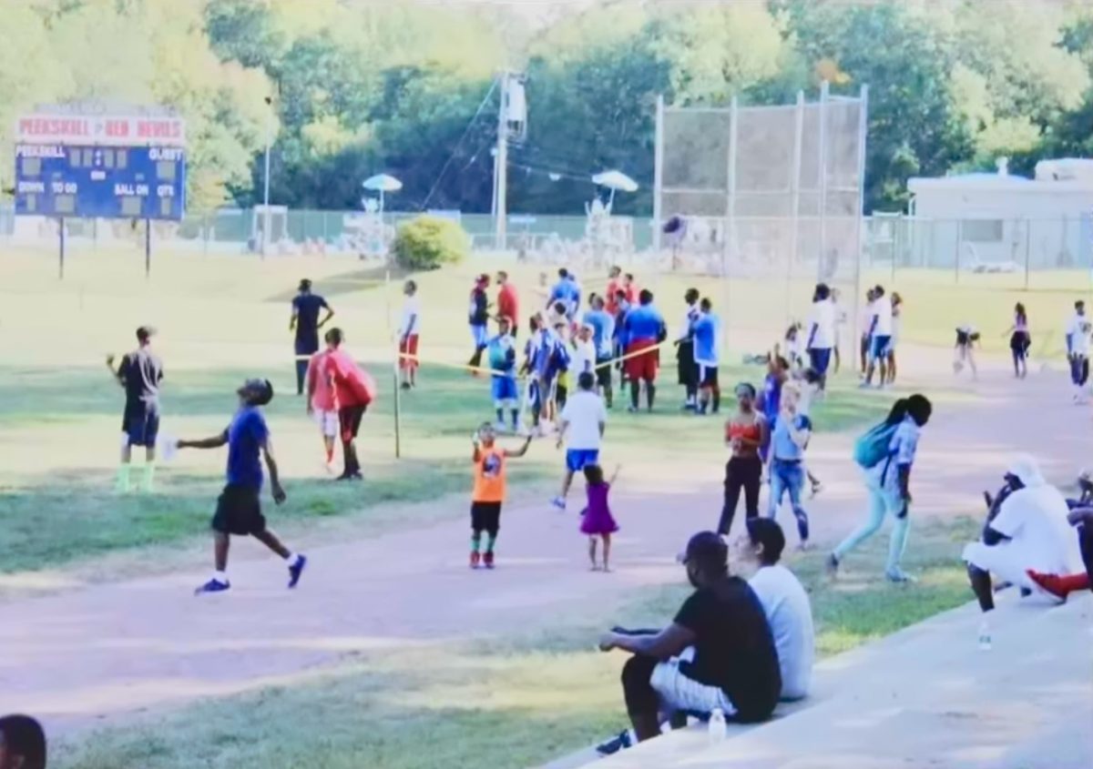 Participants and audience during last year’s tournament at Depew Park, which gathered hundreds of neighbors from Westchester and Dutchess. (Noo Moves Entertainment)]
