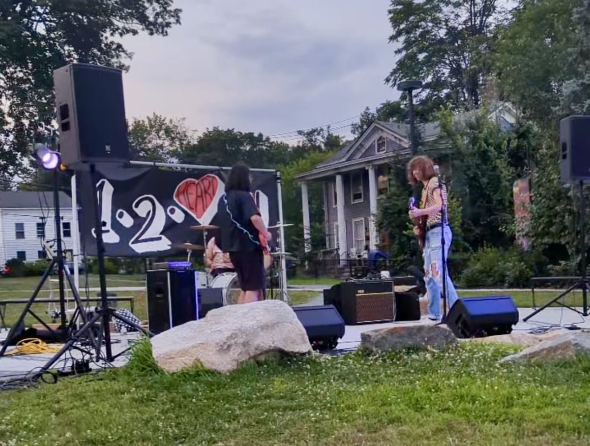 A previous edition of the Onetwoheartu festival at Pugsley Park featured live music and other activities. (Undertone Arts)
