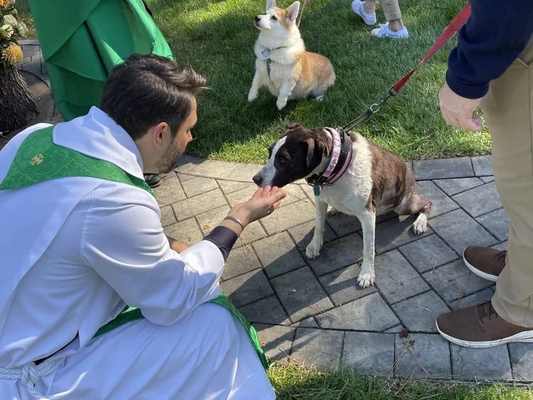 Pet blessing ceremony organized by St. Peter’s Episcopal Church in 2024, held at Pugsley Park. (St. Peter’s Episcopal Church)