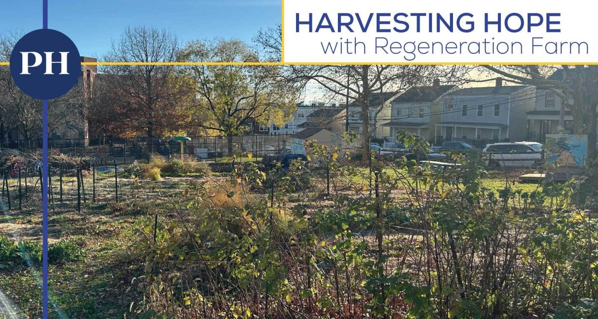 An end of the season view of Regeneration Farm off Main Street behind Lepore Park. (Natalie Skvarla)