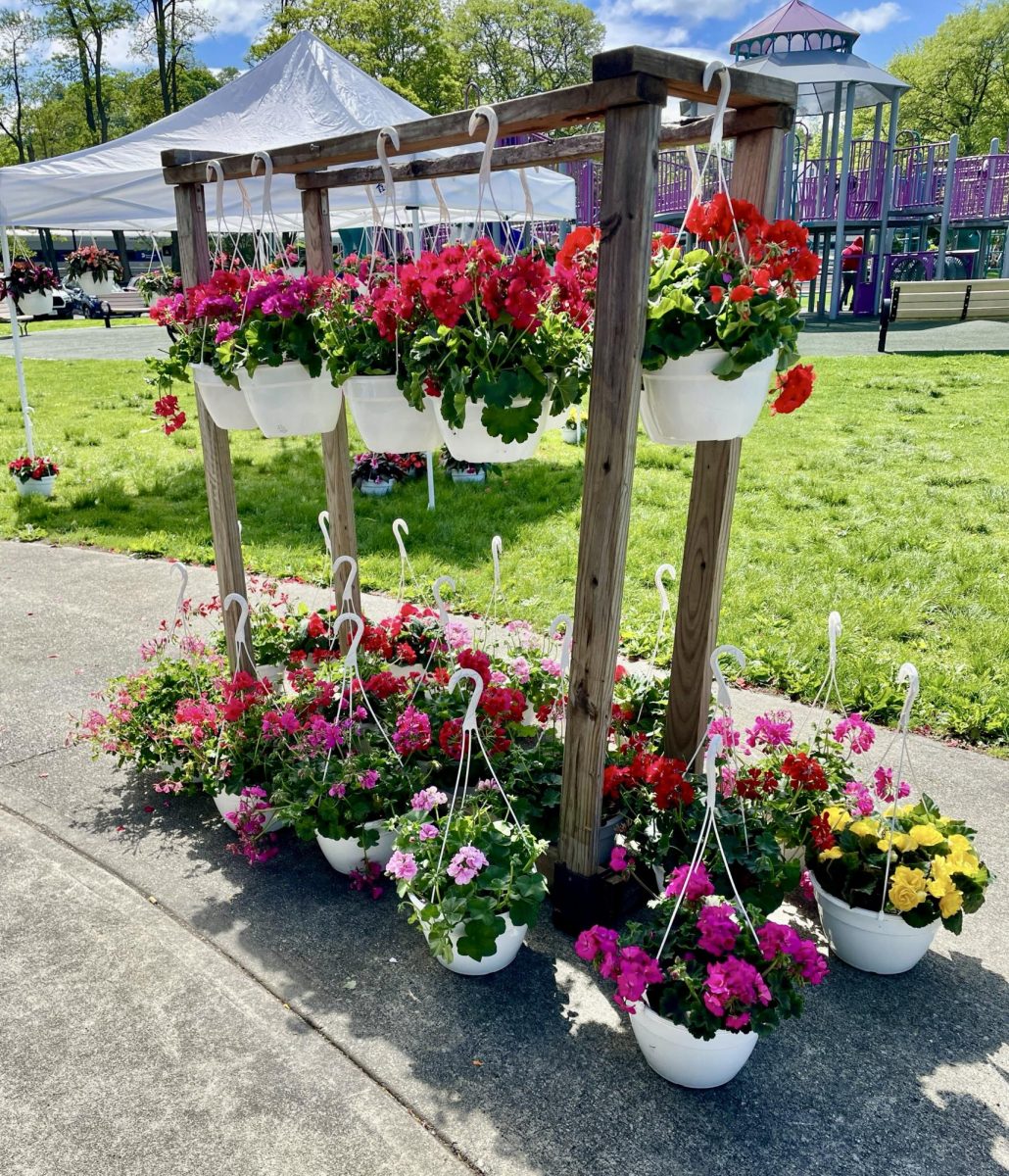Selection of plants, flowers, and herbs available at the annual sale, including options for sun, shade, and home gardening. (Peekskill Garden Club)
