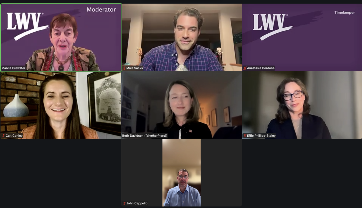 A virtual candidates forum was held by the League of Women Voters of Westchester and Rockland on Zoom on Wednesday, June 3. (Screenshot)